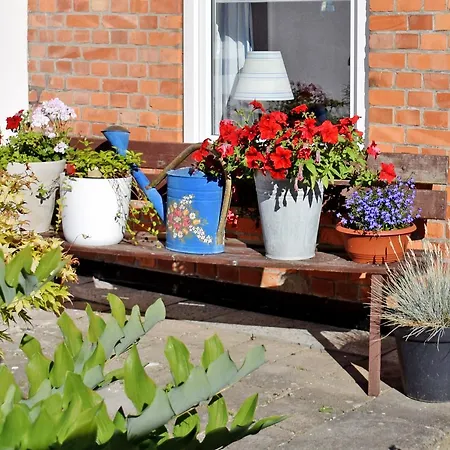 Ferienhaus Mit Terrasse Im Ostseeb Apartamento Sellin (Rugen)
